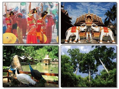 游西雙版納，領略南國風情