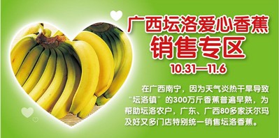 廣東、廣西80多家沃爾瑪門(mén)店正銷(xiāo)售廣西壇洛<br />由于早熟而引起的滯銷(xiāo)香蕉。